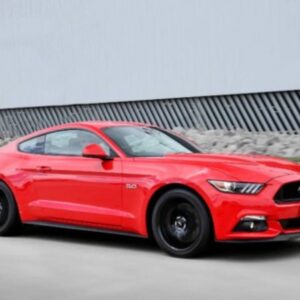 2015-2019 Ford Mustang